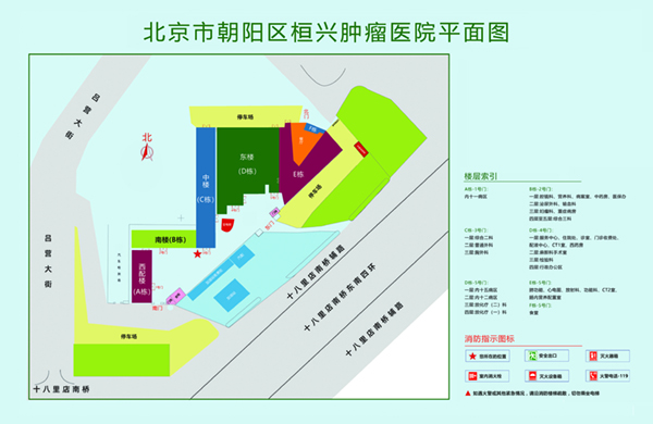 鸡巴操穴视频北京市朝阳区桓兴肿瘤医院平面图